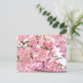 八 重 桜(Double fleurs de cerisiers) : Carte postale (Debout devant)