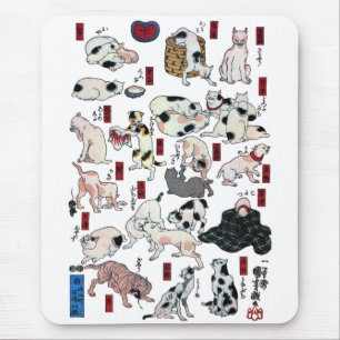 其の猫ong地b.v.,n.e.g., n.e.g., n.e.g., n.e.g., n.e.g. muismat