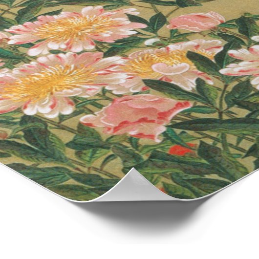 動 植 1)芍 薬 (1),綵 POSTER (Hoek)