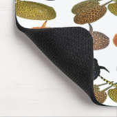 南米産淡 水エイ の マ ウ ス パ ッ ド05 MUISMAT (Hoek)