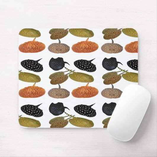 南米産淡 水エイ の マ ウ ス パ ッ ド05 MUISMAT (Met muis)