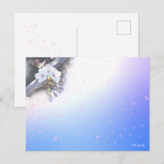 桜のシーズンポストカード BRIEFKAART