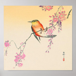 桜 に 鳥, 小 邨 Bird & Cherry Blossom, Ohara Koson Poster