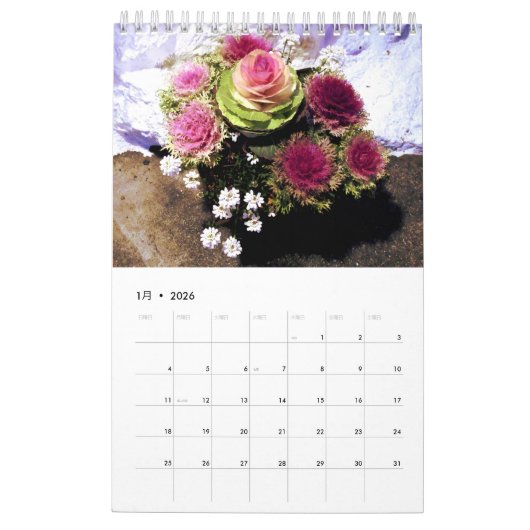植物カレンダー2017 KALENDER (Jan 2026)