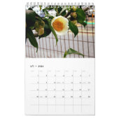 植物カレンダー2017 KALENDER (Feb 2026)