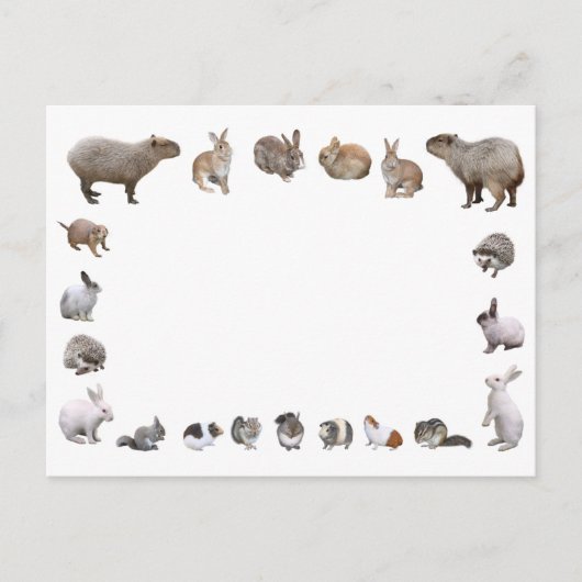 様 々 小 動 物 BRIEFKAART (Voorkant)