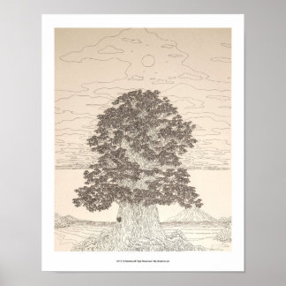 海 辺 大 木 POSTER