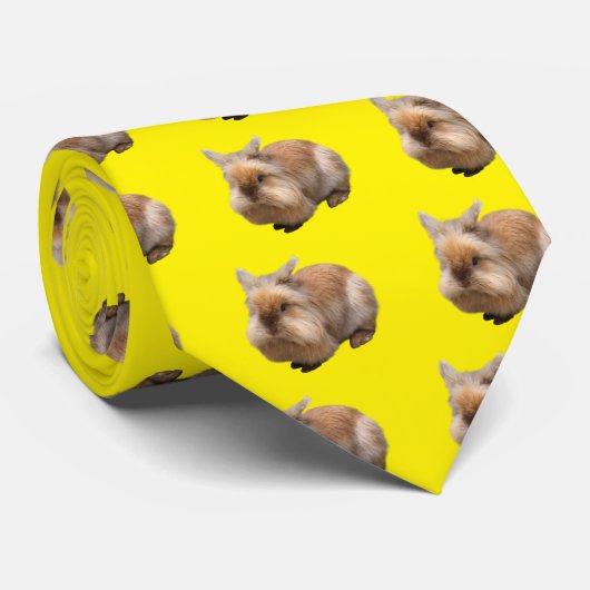 犬 STROPDAS (Opgerold)