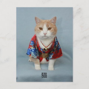 猫 BRIEFKAART
