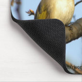 白 翁Chinese Bulbul Bird op Cherry Branches Muismat (Hoek)