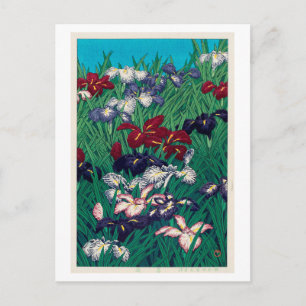 菖蒲, Iris, Hasui Kawase, Houtdruk Briefkaart