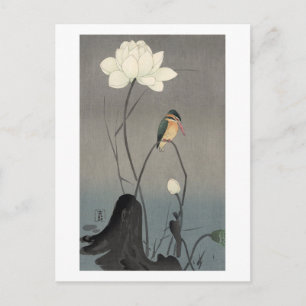 蓮にカワセミ, 古邨 Ijsvogel op Lotus, Koson, ukiyo-E Briefkaart