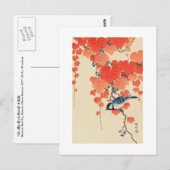 赤い蔦に鳥, 古邨 Vogel op Rode Klimop, Koson, ukiyo-E Briefkaart (Voorkant / Achterkant)