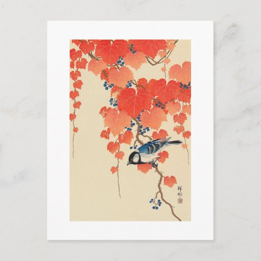 赤い蔦に鳥, 古邨 Vogel op Rode Klimop, Koson, ukiyo-E Briefkaart (Voorkant)