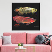 金と赤のAsian Arowana Canvas Afdruk (Insitu (Woonkamer))