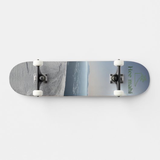 陸 海 雪 SKATEBOARD (Horizontaal)