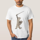 Recherche de minou de guerrier Chaton
