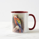 Recherche de perroquet vert tasses Aquarelle