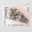 Recherche de timbre de fleur cartes postales Printemps