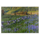 Recherche de rail maison deco Bleu