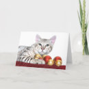 Zoek naar kattenkerstmis kaarten Dier