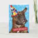 Zoek naar boxer dog kaarten Drink