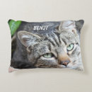 Zoek naar katten accent kussens Huisdier