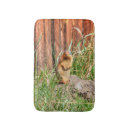 Recherche de marmottes Pour eux