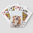 Recherche de animal de jeux de cartes Dog