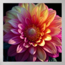 Recherche de dahlia rouge posters Violet