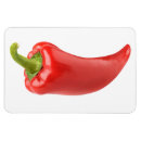 Recherche de poivron magnets Piment