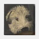 Recherche de balai magnets Terrier
