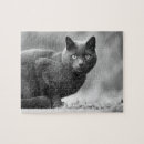 Recherche de chaton noir puzzles Animal de compagnie