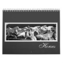 Recherche de chevaux de deux calendriers Poney