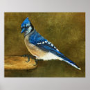 Recherche de bird painting posters Wild