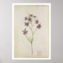 Zoek naar moyne posters Mortuaria