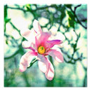 Recherche de tiffany posters Rose