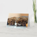 Zoek naar dogue de bordeaux kaarten Knoeister