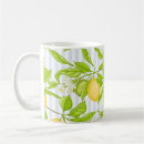 Recherche de citronnier tasses Été