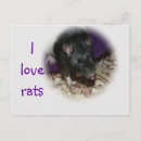 Recherche de rats cartes postales Doux