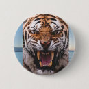 Recherche de tigres badges Sauvage