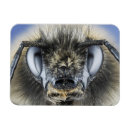 Recherche de bourdons magnets Abeille
