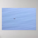 Zoek naar vijvers kunst Fotografie