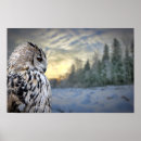 Recherche de hibou brun posters Animal