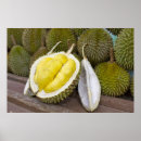 Zoek naar maleisië posters Thailand