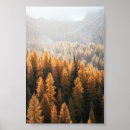 Zoek naar landschaps posters Bos