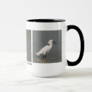 Zoek naar egret mokken Vogel