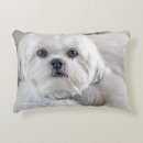 Zoek naar shih tzu kussens Huisdieren
