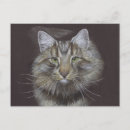 Recherche de adoption de chat cartes postales Animal