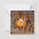 Recherche de de poissons correspondances cartes Vie marine